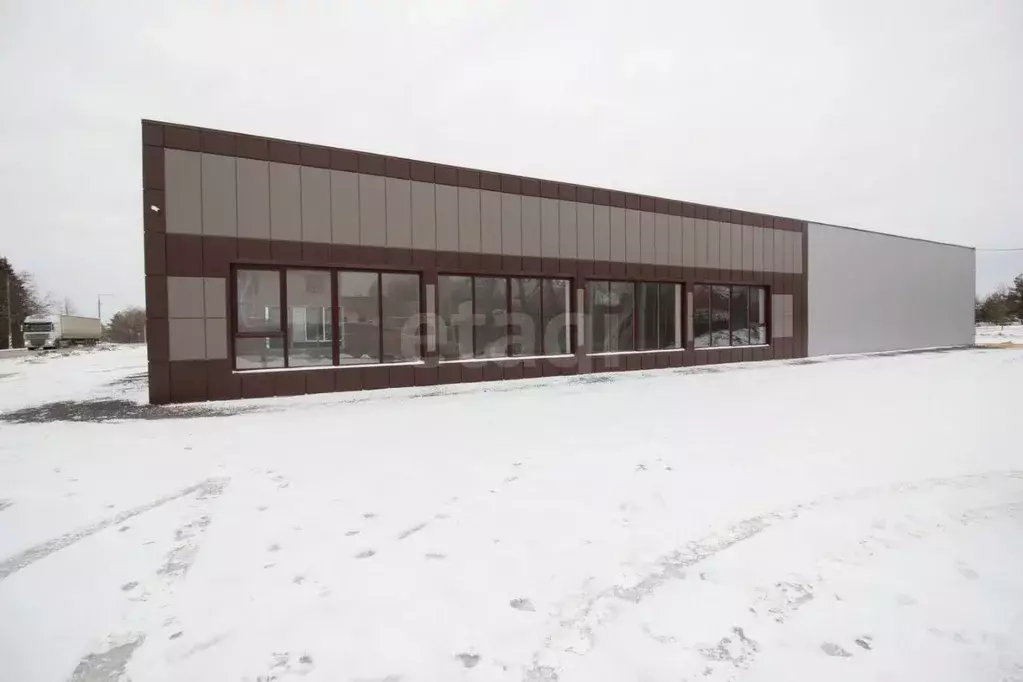 Торговая площадь в Калужская область, Медынь Молодежная ул., 24 (350 ... - Фото 2