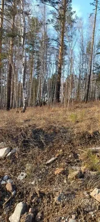 Участок в Иркутская область, Иркутский муниципальный округ, Маркова рп ... - Фото 1