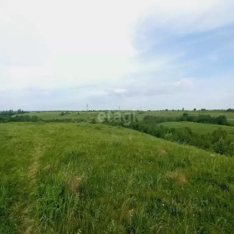 Участок в Калужская область, Калуга городской округ, с. Росва  (19.97 ... - Фото 2