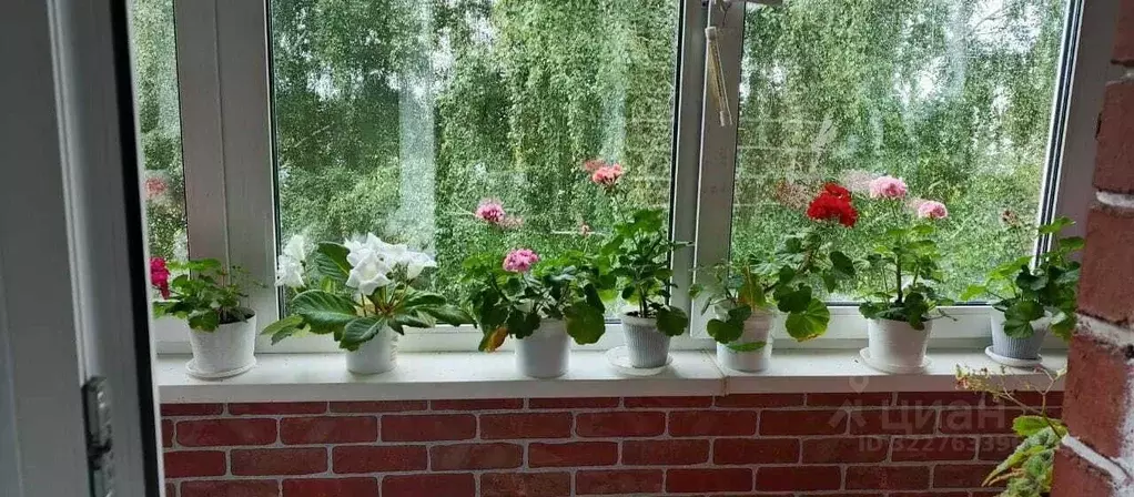 3-к кв. Свердловская область, Екатеринбург муниципальное образование, ... - Фото 2