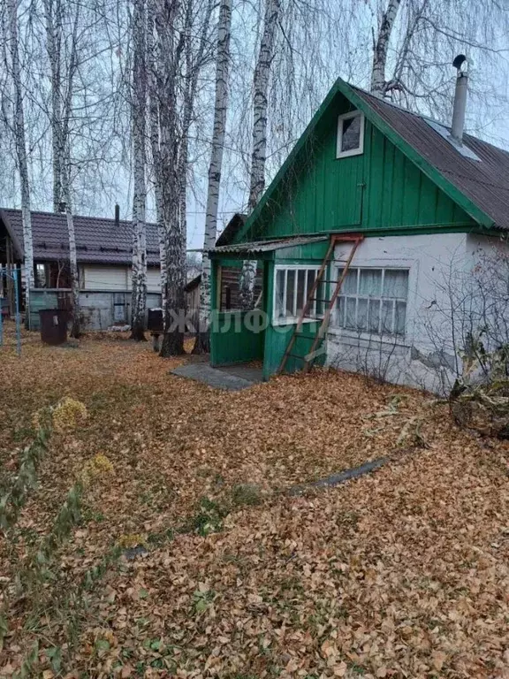 Участок в Новосибирская область, Новосибирский район, Барышевский ... - Фото 0