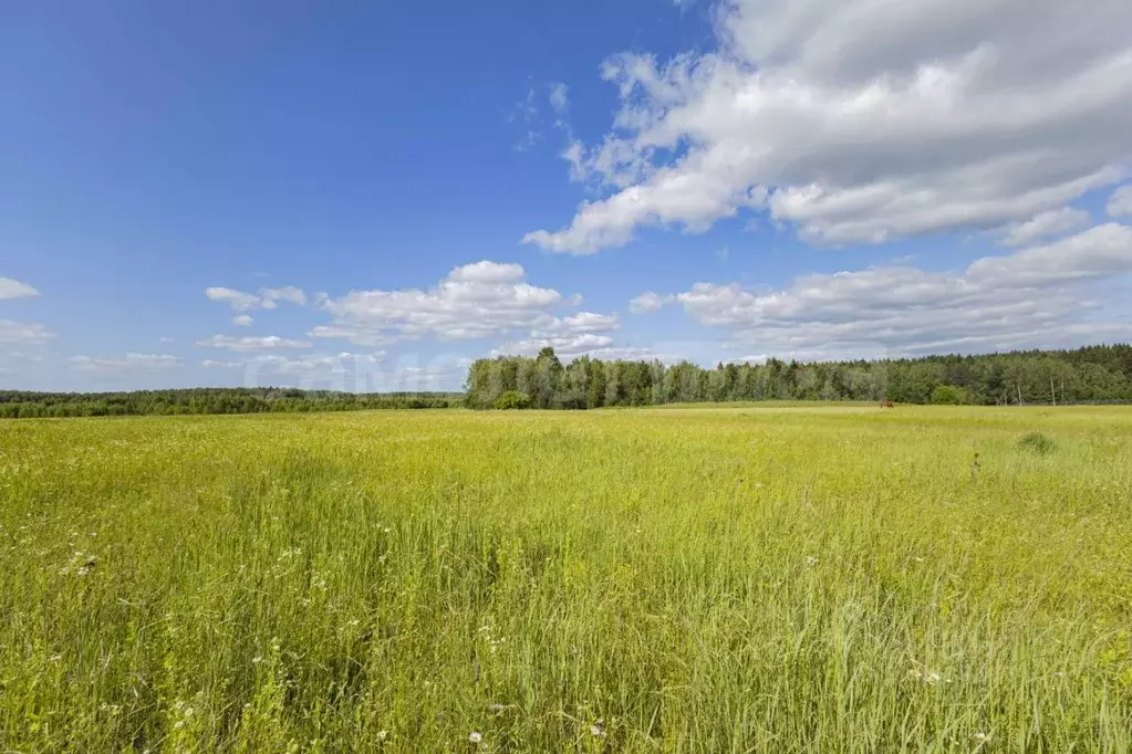 Участок в Калужская область, Малоярославецкий район, Шумятино с/пос, ... - Фото 2