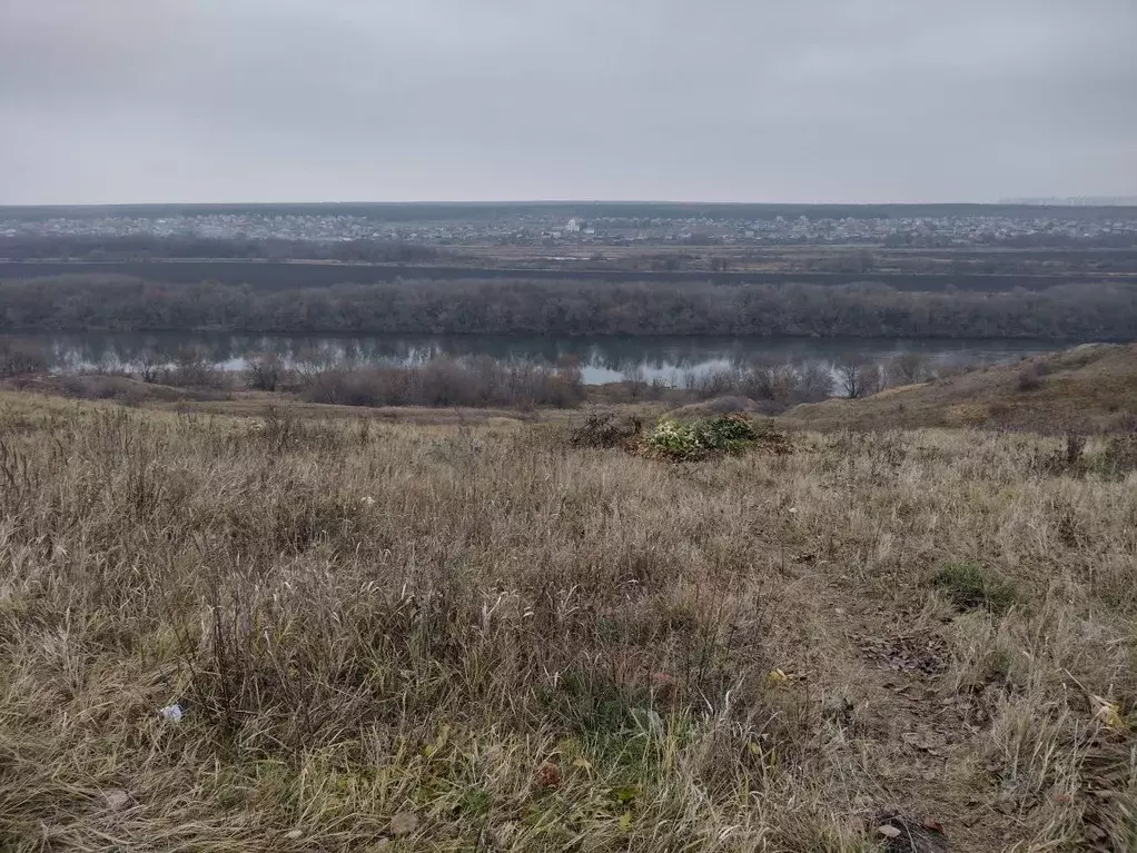 Участок в Воронежская область, Хохольский район, Петинское с/пос, с. ... - Фото 1