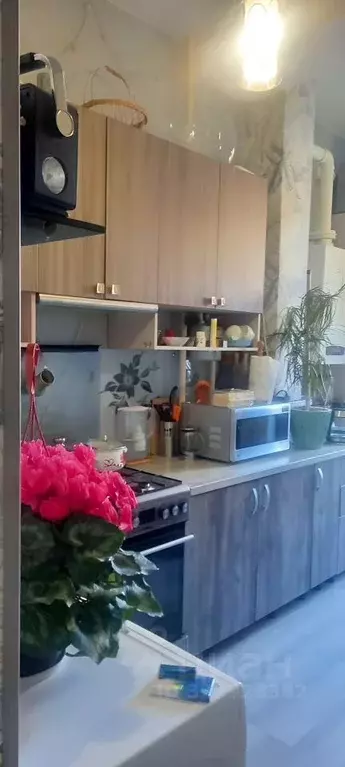 1-к кв. Краснодарский край, Сочи городской округ, с. Раздольное ул. ... - Фото 1