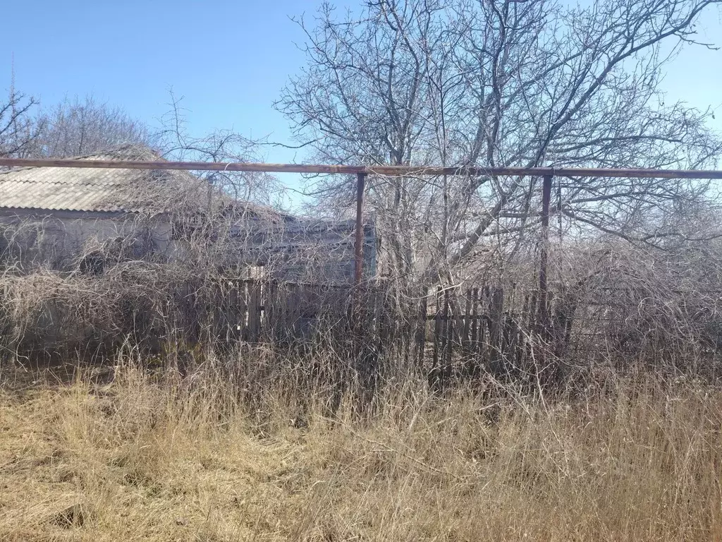 Участок в Краснодарский край, Ейский район, Должанская ст-ца Садовая ... - Фото 2