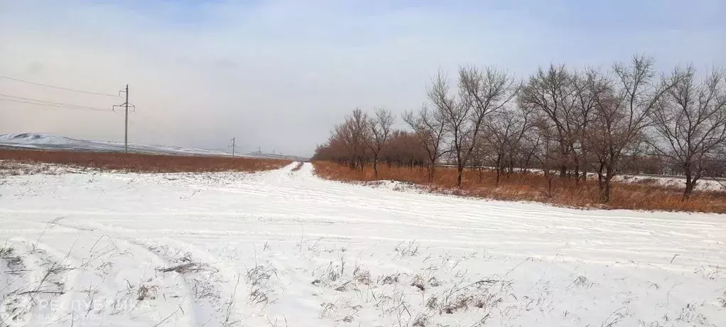 Участок в Хакасия, Ширинский район, с. Черное Озеро Озерная ул. (14.0 ... - Фото 0