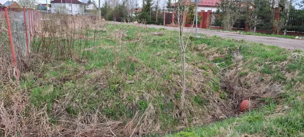 Участок в Санкт-Петербург, Санкт-Петербург, Пушкин ул. Восточная, 45 ... - Фото 1