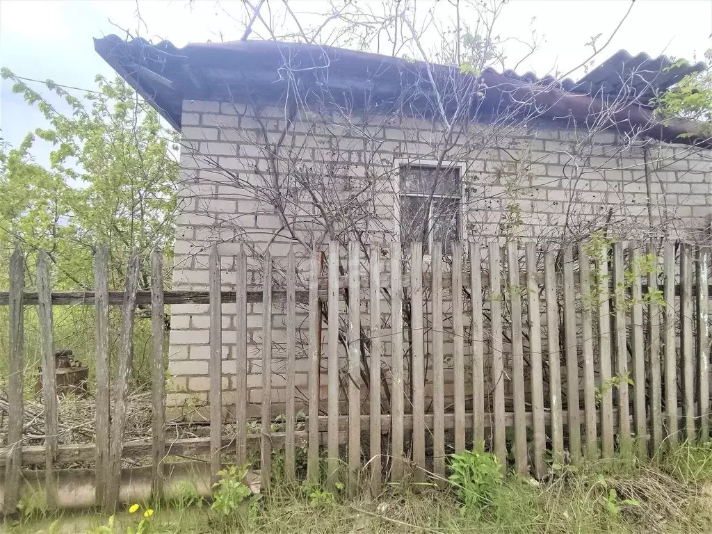 Участок в Белгородская область, Белгородский район, с. Стрелецкое, ... - Фото 0