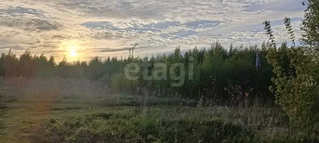 Участок в Тульская область, Заокский район, Демидовское с/пос, Вашана ... - Фото 0
