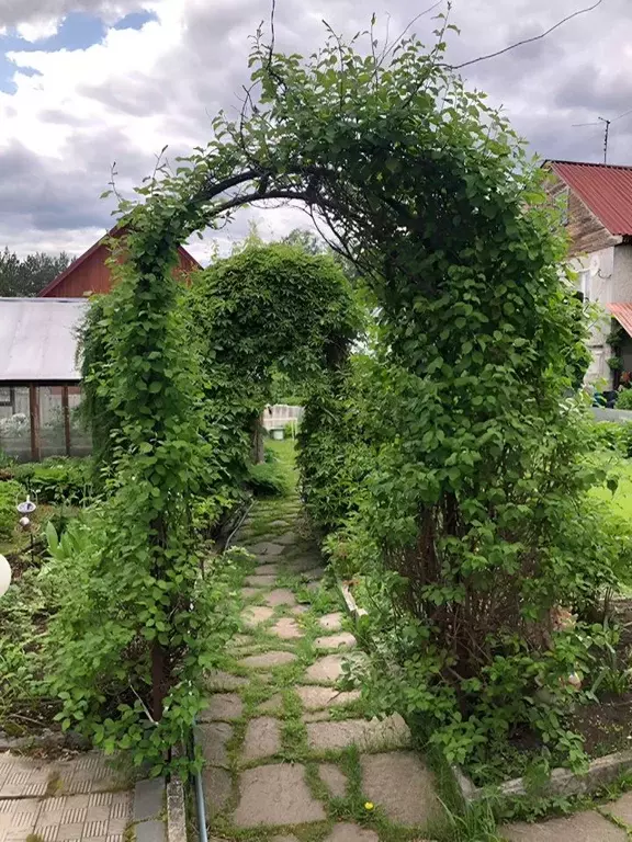 Дом в Свердловская область, Верхняя Пышма городской округ, пос. ... - Фото 1