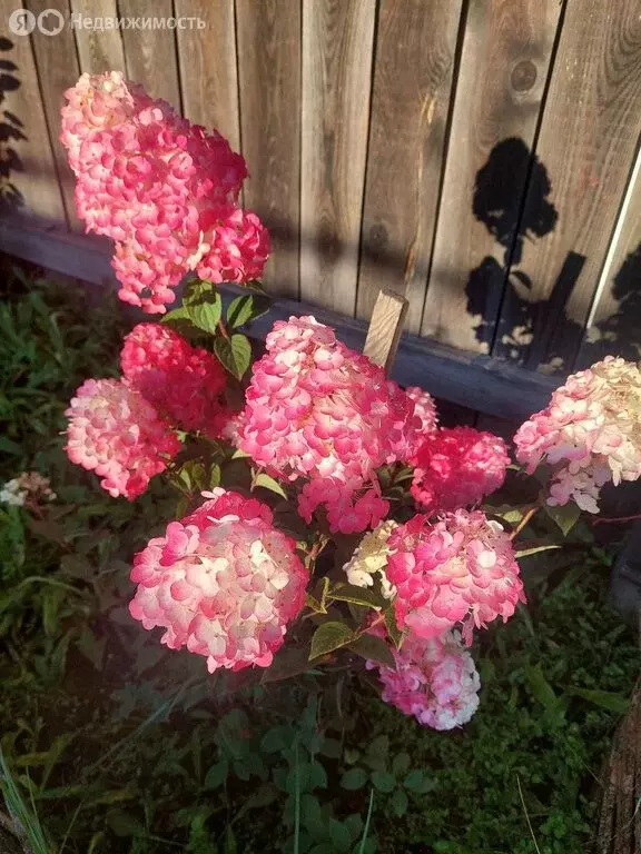 Дом в село Боград, Партизанская улица, 161 (118.9 м) - Фото 1