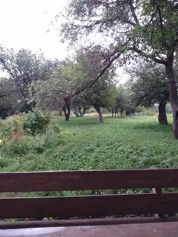 Участок в село Старый Курлак, улица Ленина (100 м) - Фото 1