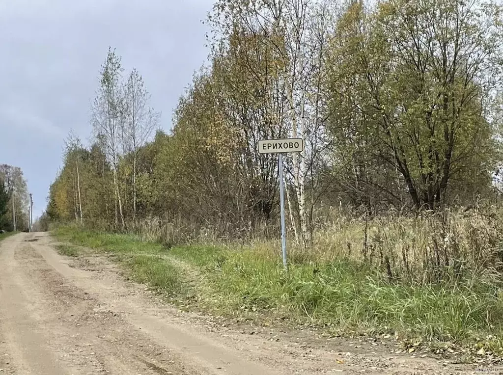 Участок в Ярославская область, Ярославский муниципальный округ, д. ... - Фото 2