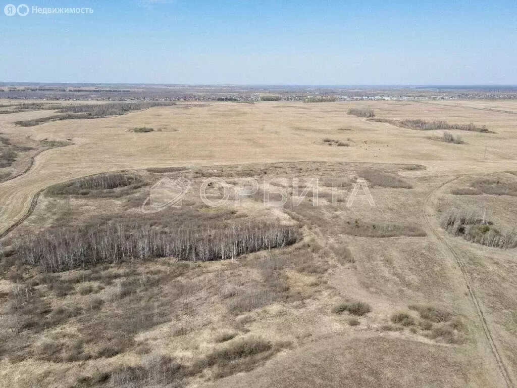 Участок в Тюменский муниципальный округ, село Червишево (600 м) - Фото 2