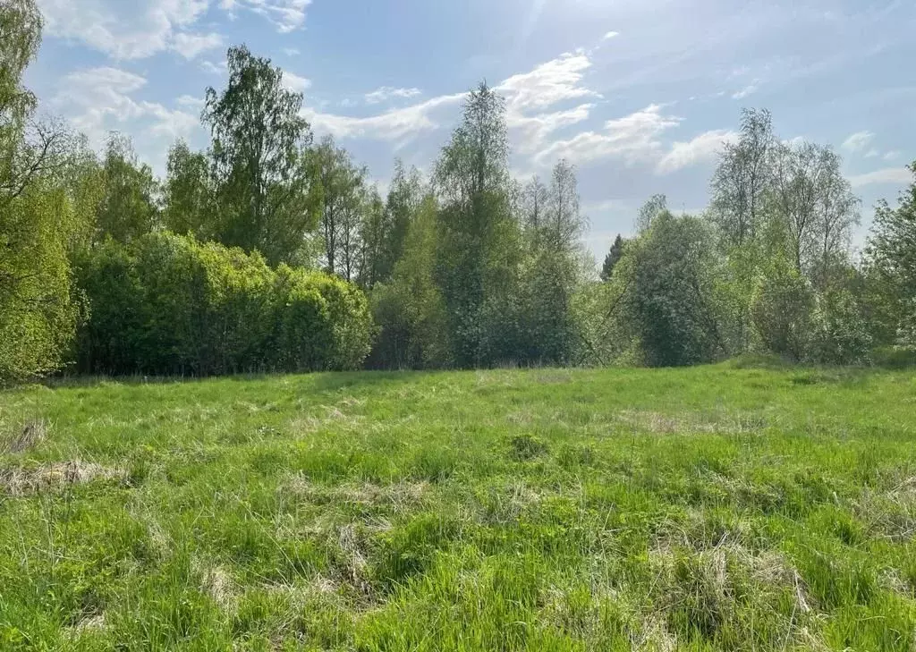 Участок в Московская область, Щелково городской округ, Авиационная ... - Фото 1
