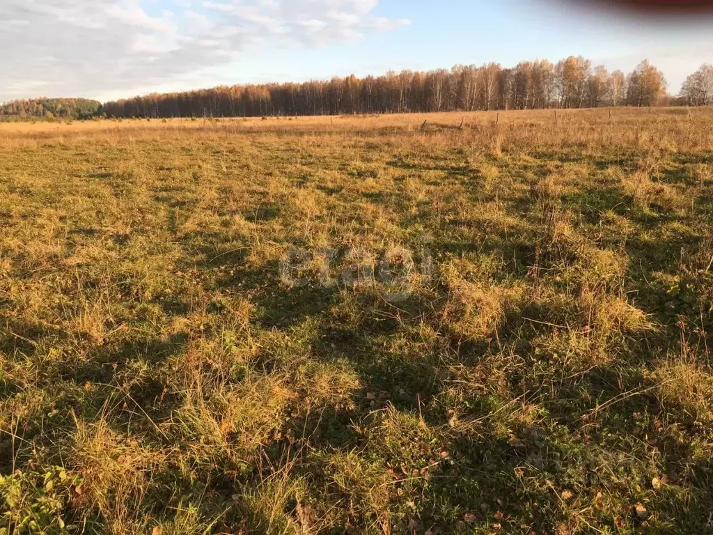 Склад в Ростовская область, Ростов-на-Дону Заречная мкр, ул. 1-я ... - Фото 1