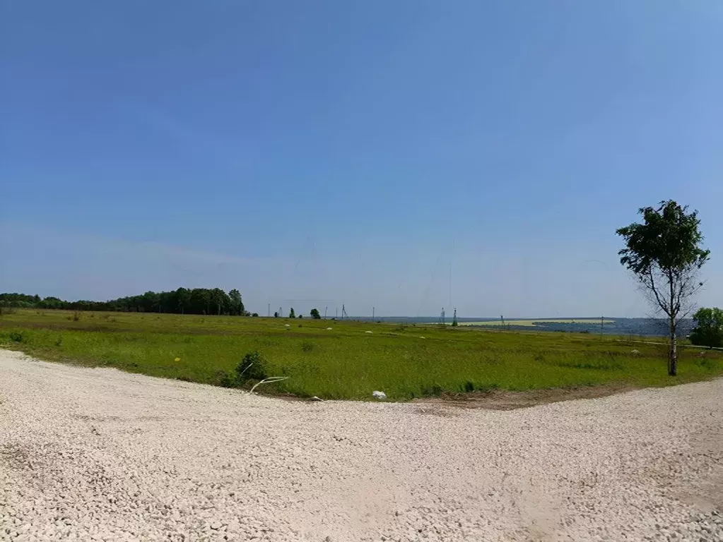 Участок в Тульская область, Дубенский район, Протасовское с/пос, д. ... - Фото 0