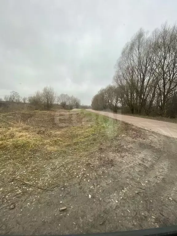 Участок в Брянская область, Навлинский район, Бяковское с/пос, д. ... - Фото 1