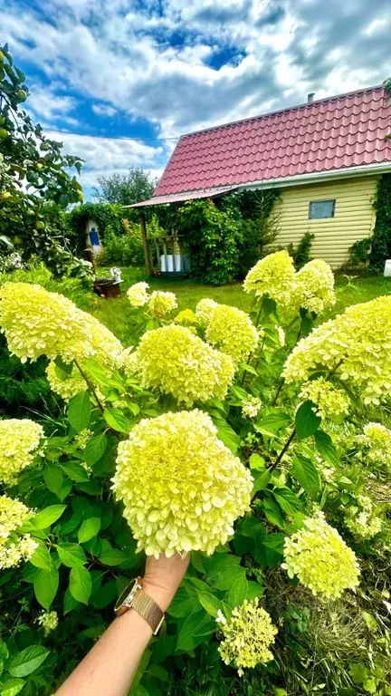 Дом в Челябинская область, Сосновский муниципальный округ, Дружба ... - Фото 2