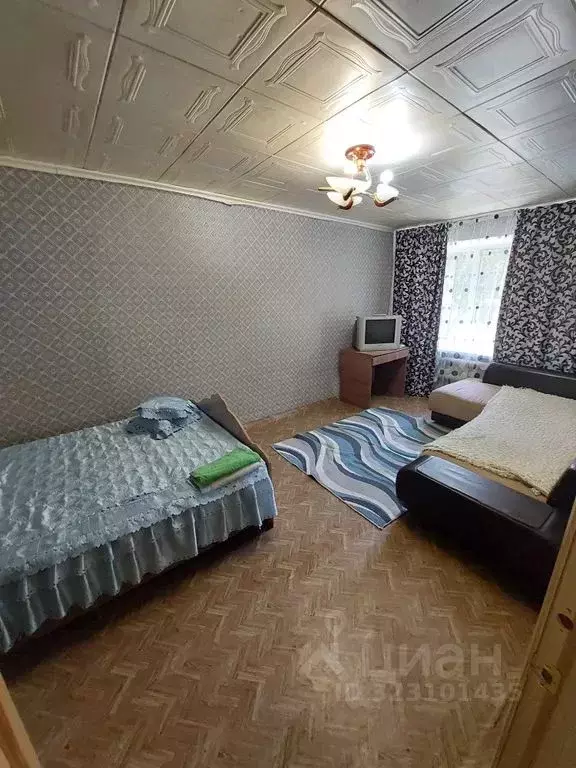 1-к кв. Нижегородская область, Павлово ул. Шутова, 12 (33.0 м) - Фото 2