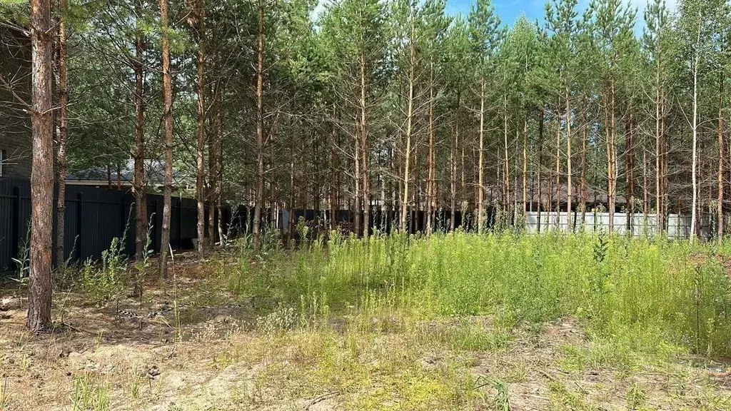 Участок в Московская область, Ступино городской округ, д. Шугарово ул. ... - Фото 0