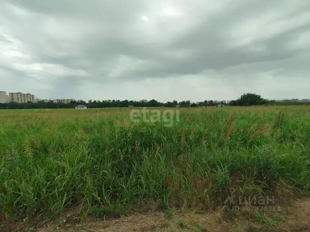 Участок в Краснодарский край, Краснодар муниципальное образование, ... - Фото 0