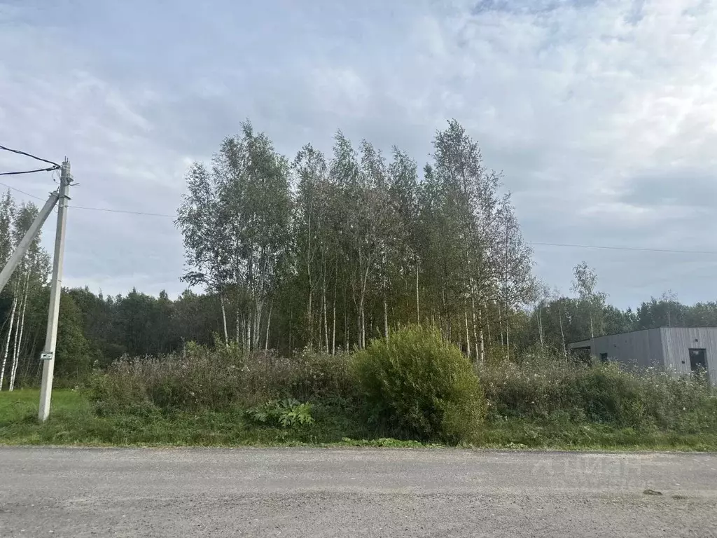 Участок в Ленинградская область, Всеволожский район, Рахьинское ... - Фото 1