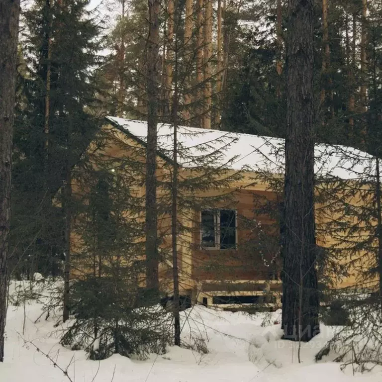 Дом в Свердловская область, Дегтярск Набережная ул., 18 (60 м) - Фото 1