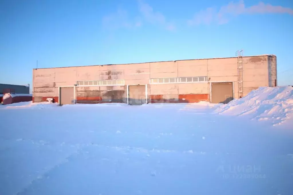 Помещение свободного назначения в Ямало-Ненецкий АО, Новый Уренгой ул. ... - Фото 0