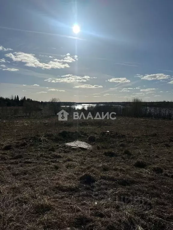 Участок в Ленинградская область, Лужский район, Ям-Тесовское с/пос, д. ... - Фото 0
