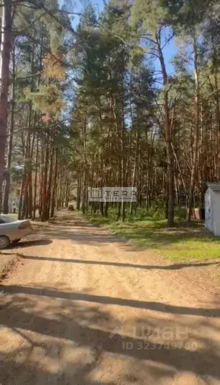 Участок в Башкортостан, Иглинский сельсовет, с. Иглино, Имени Мичурина ... - Фото 1