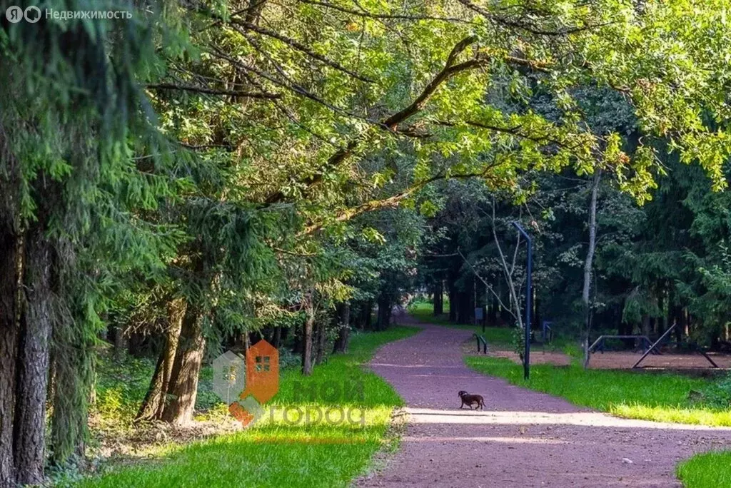 Квартира-студия: Звенигород, микрорайон Супонево, к15 (28.7 м) - Фото 0