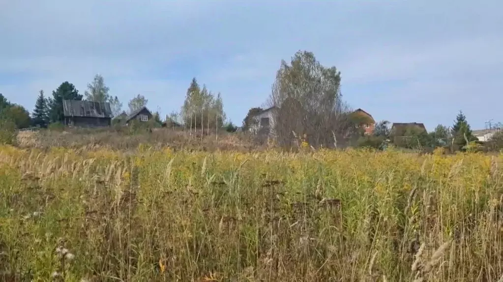 Участок в Московская область, Щелково городской округ, д. Глазуны  ... - Фото 0