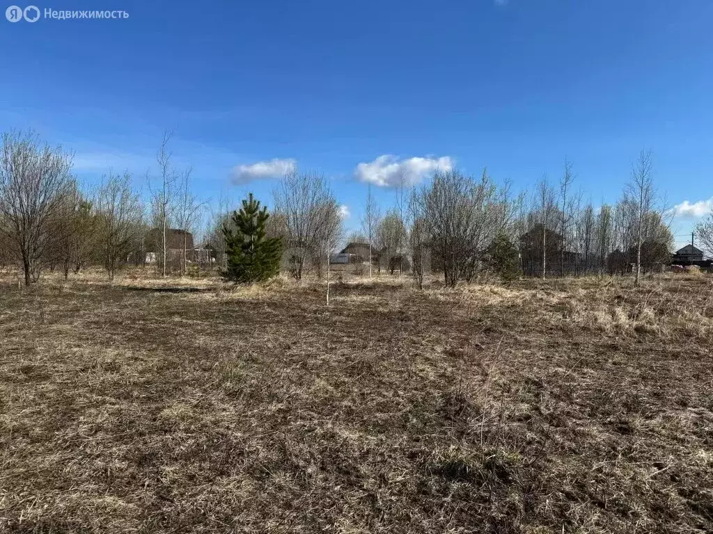 Участок в Медведевский район, Нурминское сельское поселение, село ... - Фото 0