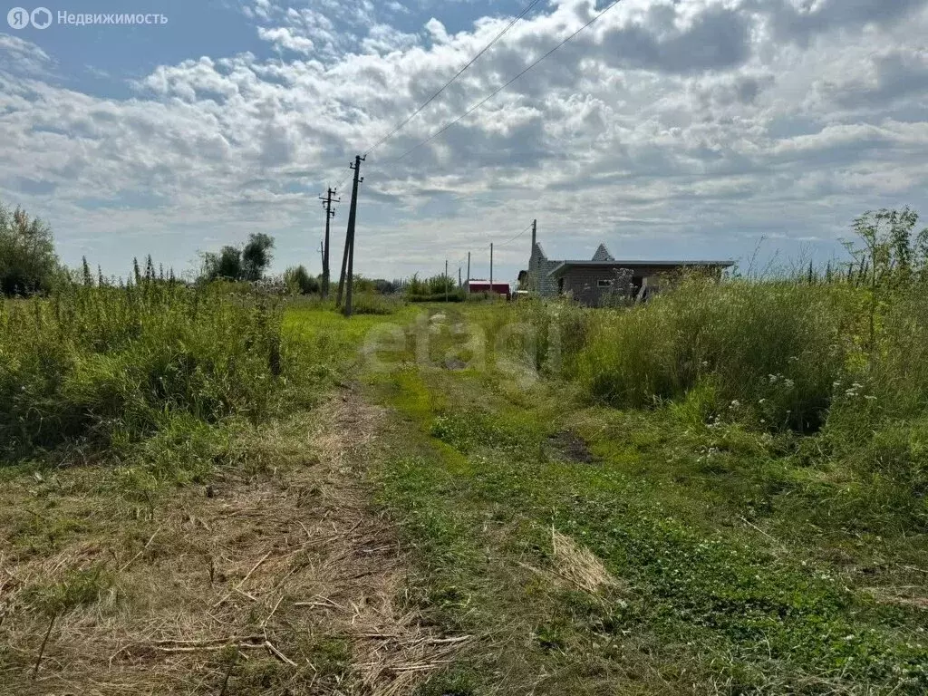 Участок в Стерлитамакский район, Казадаевский сельсовет, село Новое ... - Фото 0