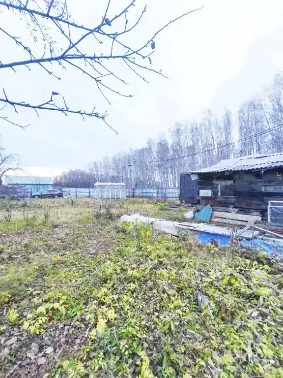 Участок в Челябинская область, Сосновский муниципальный округ, Надежда ... - Фото 2