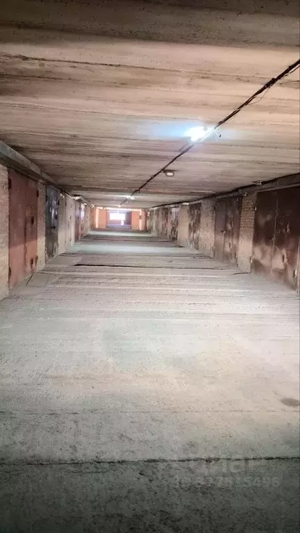 Гараж в Новосибирская область, Новосибирск Спортивная ул., 7 (23 м) - Фото 1