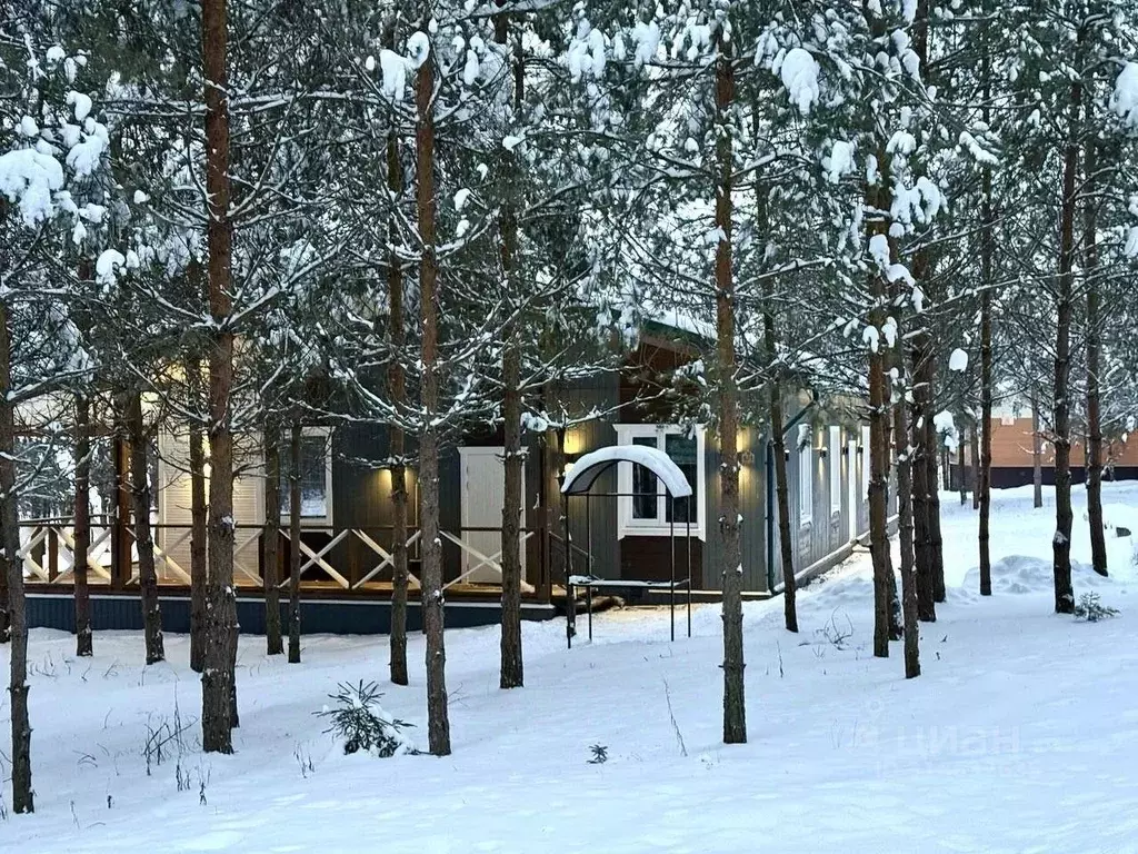 3-к кв. Новгородская область, Любытинское с/пос, д. Бор 129 (150.0 м) - Фото 1