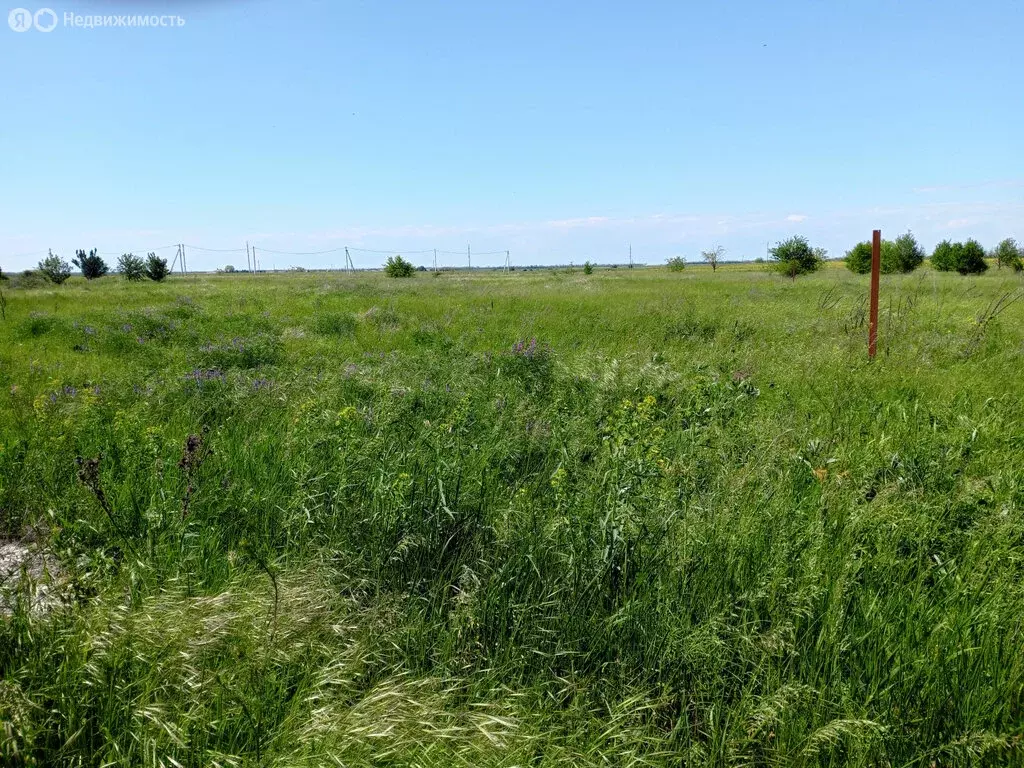 Участок в Кухаривка, улица Свободы (15 м) - Фото 1
