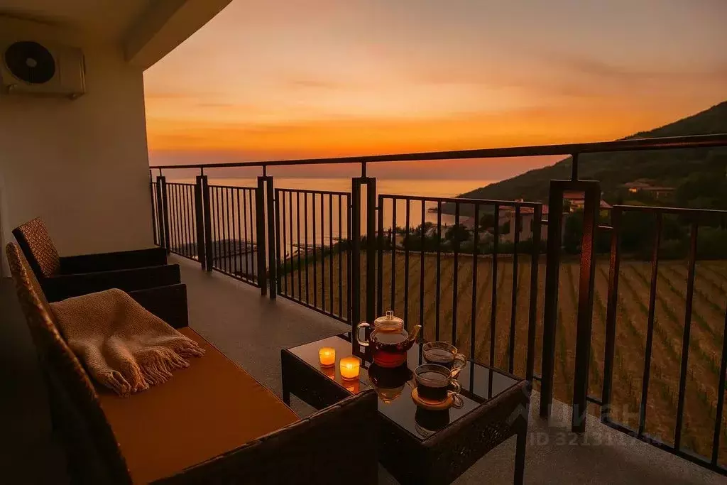 1-к кв. Крым, Ялта муниципальный округ, Ливадия пгт ул. Виноградная, ... - Фото 2