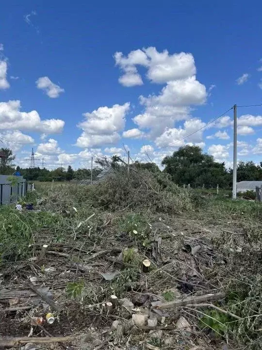 Участок в Тамбовская область, Тамбов городской округ, с. Бокино ул. ... - Фото 0