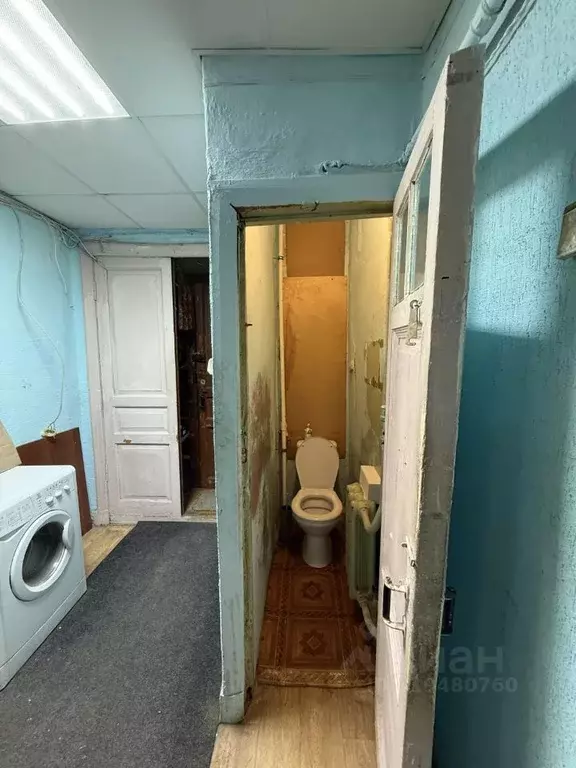 Комната Санкт-Петербург Пушкинская ул., 11 (12.0 м) - Фото 0