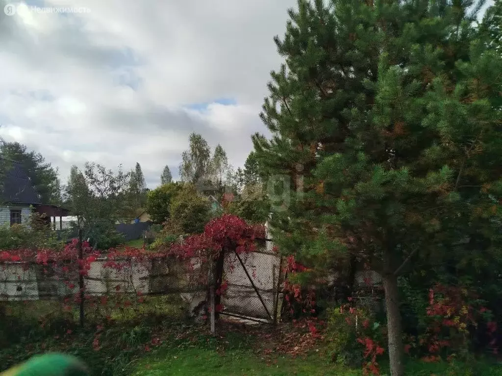 Дом в Тверская область, Конаковский муниципальный округ, СТ Химик (24 ... - Фото 2