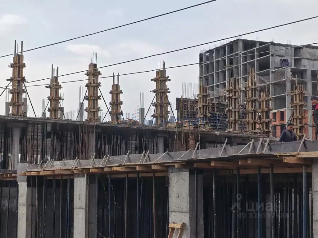 Помещение свободного назначения в Нижегородская область, Бор ул. ... - Фото 2