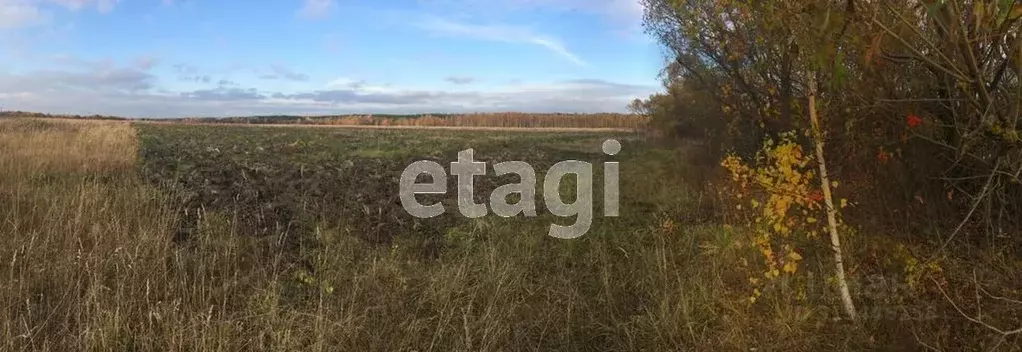 Участок в Свердловская область, Нижний Тагил муниципальный округ, с. ... - Фото 1