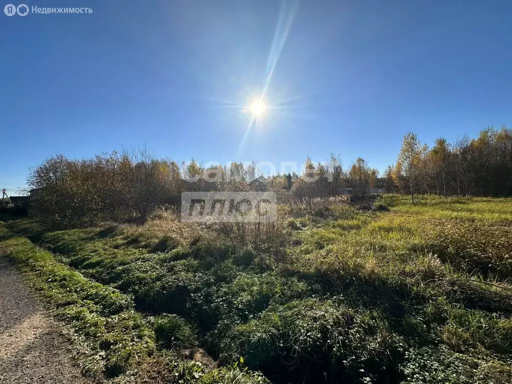 Участок в Наро-Фоминский городской округ, дачный посёлок Луговое (11.7 ... - Фото 0