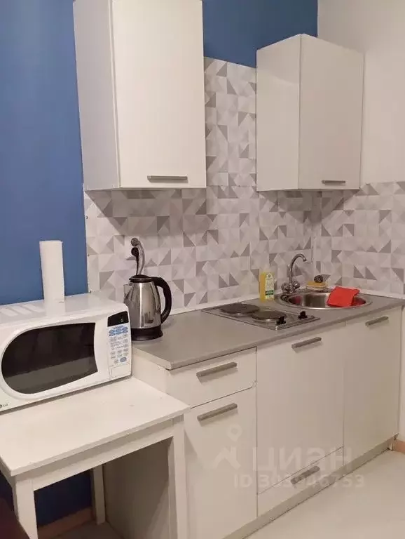 Студия Санкт-Петербург ул. Крыленко, 1к1с3 (25.0 м) - Фото 1