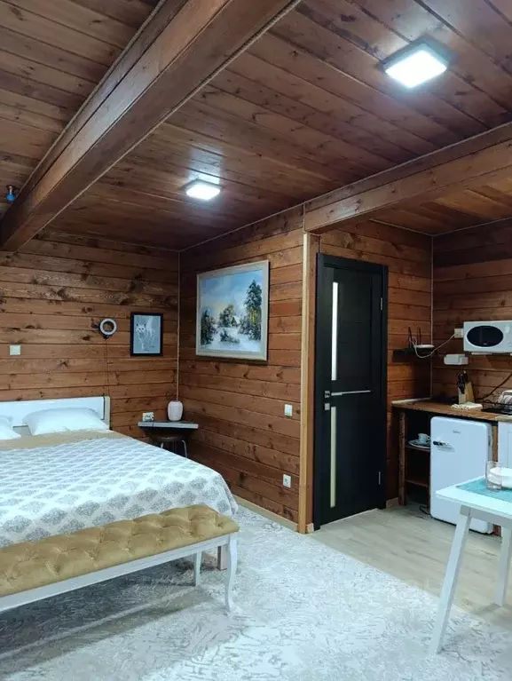 Студия Краснодарский край, Сочи городской округ, с. Раздольное ул. ... - Фото 1