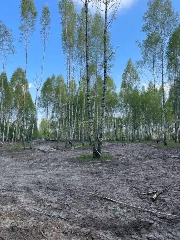 Участок в Тульская область, Тула ул. Тюрина, 66 (11.2 сот.) - Фото 1