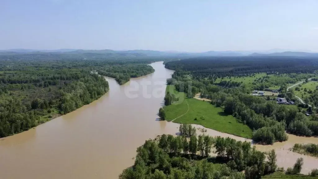 Участок в Алтайский край, Советский район, с. Шульгин Лог  (19.5 сот.) - Фото 2